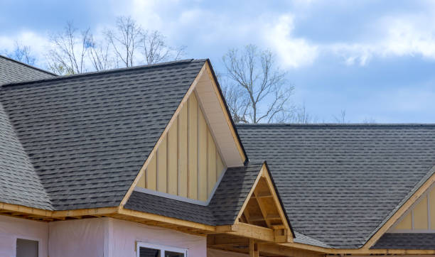 Best Skylight Installation and Repair  in Raven, VA