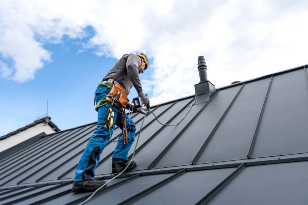 Best Metal Roofing Installation  in Raven, VA